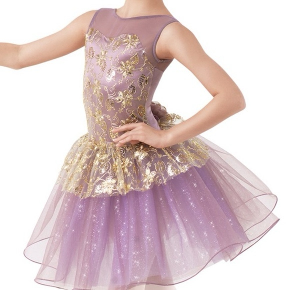 Weissman “La Bayadere” Purple & Gold Seqin Mesh, Satin Bodice Ballet Costume, LC